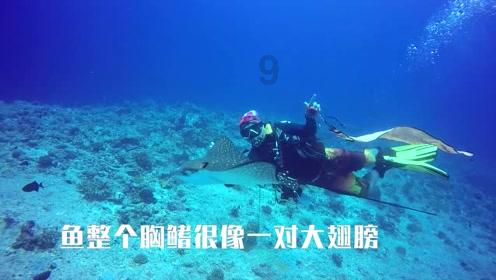 冷知识分享平台-我的男朋友妈妈控制欲特别强,怎么办啊?,让你聪明一点